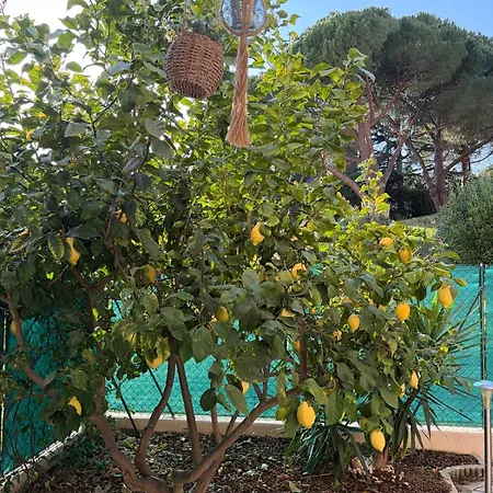Cozy - Sunny Terrace Avec Clim Et Parking Appartement Antibes